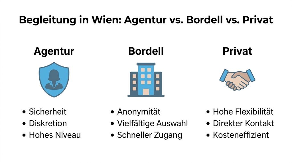 Vergleichsgrafik zwischen Begleitagenturen, Bordellen und privaten Angeboten für Escort-Dienstleistungen in der Stadt Wien.